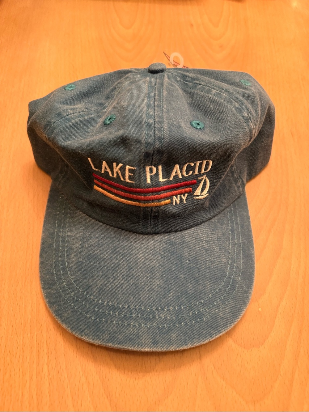 LAKE PLACID Vintage Wash Dad Hat